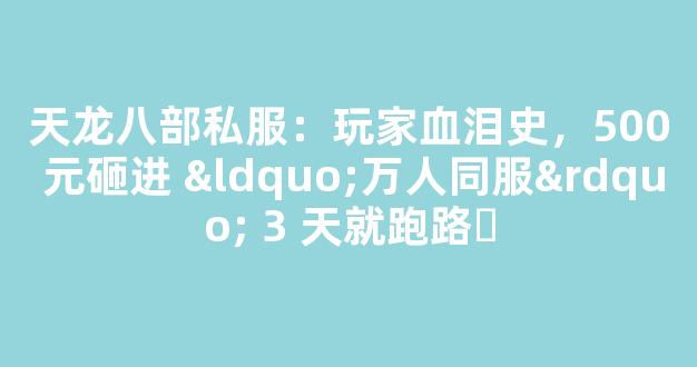 天龙八部私服：玩家血泪史，500 元砸进 “万人同服” 3 天就跑路​